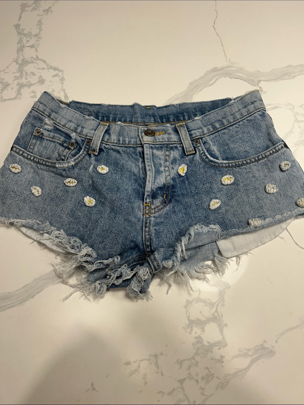 Denim Daisy Embroidered Frayed Hem Shorts - Light Blue